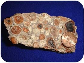 Bauxite rock with a penny on top of it to show the color comparison—the aluminum in the rock is the same color.