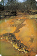 Water in a stream has been discolored (a bright orange and yellow) due to acid drainage.