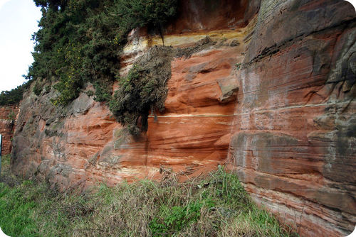 Figure 5. This sedimentary rock is made of sand that is cemented together to form a sandstone.