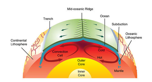 Figure 3. Mantle convection drives plate tectonics. Hot material rises at mid-ocean ridges and sinks at deep sea trenches, which keeps the plates moving along the Earth’s surface.