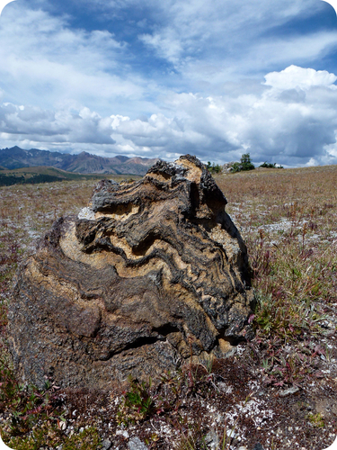 Figure 17. A foliated metamorphic rock.