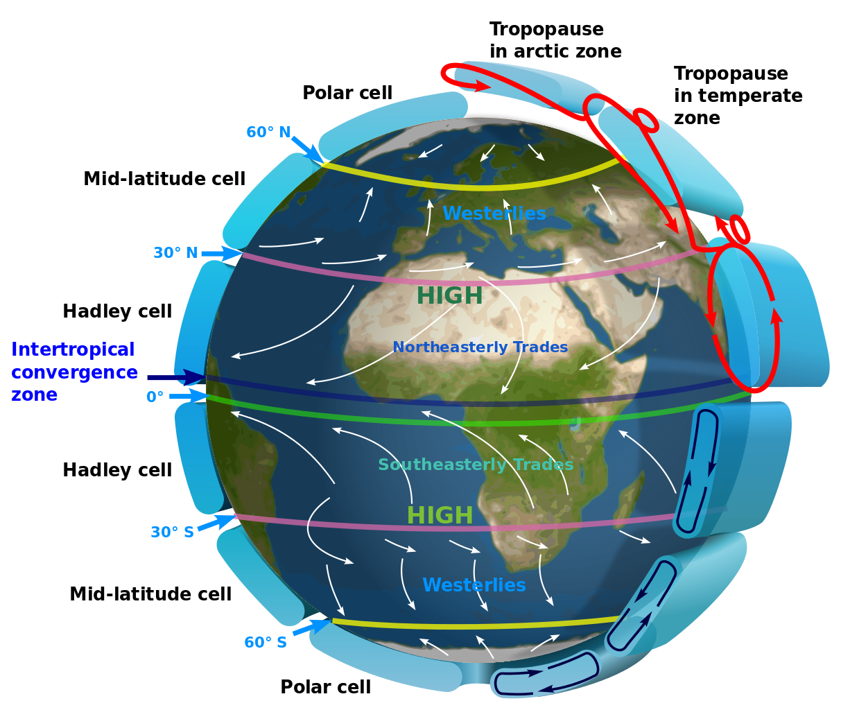 1226px-Earth_Global_Circulation_-_en.svg_2.png