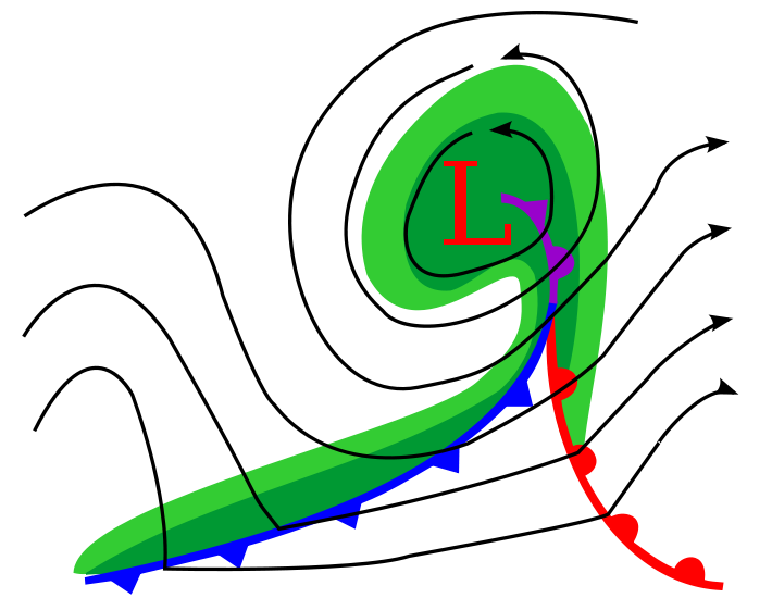 Diagram of a cyclone in the early stages of occlusion in the Northern Hemisphere