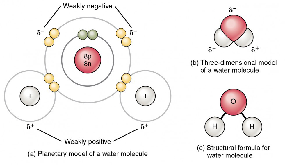 This figure shows the structure of a water molecule. The top panel shows two oxygen atoms and one hydrogen atom with electrons in orbit and the shared electrons. The middle panel shows a three-dimensional model of a water molecule and the bottom panel shows the structural formula for water.