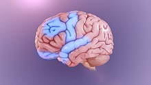 https://en.wikipedia.org/wiki/Obsessive%E2%80%93compulsive_disorder