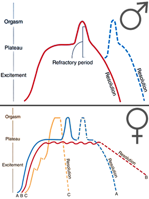 Introduction to Sexual Dysfunctions Abnormal Psychology