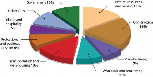 Pie chart with nine sections: 10% government, 15% natural resources and mining, 19% construction, 7% manufacturing, 11% wholesale retail trade, 13% transportation and warehousing, 9% professional and business services, 5% leisure and hospitality, and 11% other.