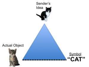 Illustration showing a blue triangle. At the top of the triangle is a photo of a black and white adult cat, labeled 
