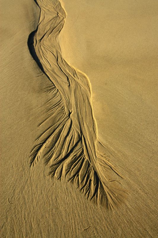 A sand dune in the desert.