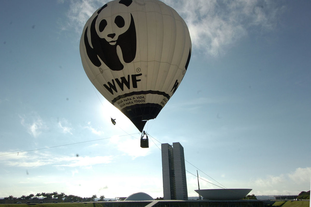 World Wildlife Fund hot-air balloon with panda logo and 