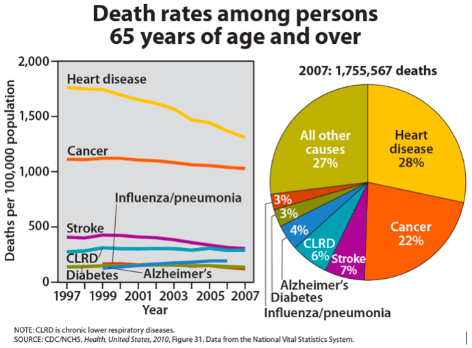 Death rates among persons 65 years of age and over. In the year 2007, heart disease caused 28% of deaths, cancer 22%, strokes 7%, all other causes 27%, st