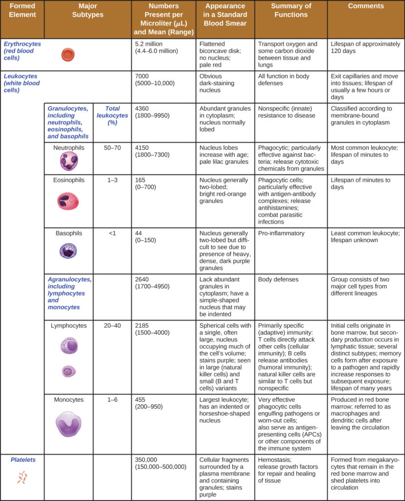 Cellular Defenses Microbiology Course Hero