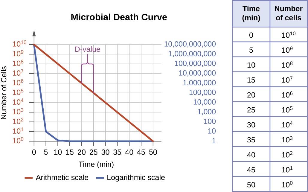 A table showing a decrease in number as microbial cells die. At time 0 there are 10 to the 10 cells. At time 5 there are 10 to the 9 cells. At time 10 there are 10 to the 8 cells. At time 15there are 10 to the 7 cells. At time 20 there are 10 to the 6 cells. At time 25 there are 10 to the 5 cells. At time 30 there are 10 to the 4 cells. At time 35 there are 10 to the 3 cells. At time 40 there are 10 to the 2 cells. At time 45 there are 10 to the 1 cells. At time 50 there are 10 to the 0 cells. A graph titled microbial death curve. The X axis is time and the Y axis is number of cells. Two lines indicate what this graph looks like using an arithmetic and logarithmic scale. Both lines begin at 10 to the 10 at time 0. The arithmetic scale drops quickly and is indistinguishable from 0 by 10 minutes. The logarithmic scale slopes at a clean diagonal. The D value is shown as the time it takes to move from 10 to the 6 to 10 to the 5; this occurs in 5 minutes.