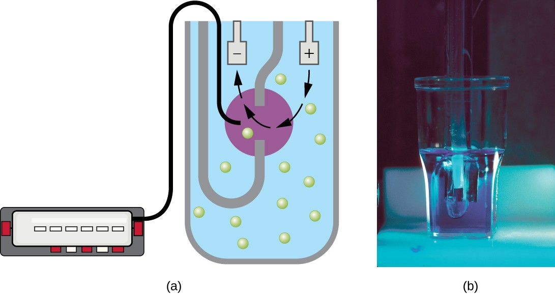 A) A diagram of a coulter counter. This includes a beaker with small spheres indicating cells. The beaker is divided to create a region of positive charge and a region of negative charge. The cells move from the positive region to the negative region. A device is able to measure the number of cells crossing from one side to the other. B) a photograph of this device which looks like a small glass cup.