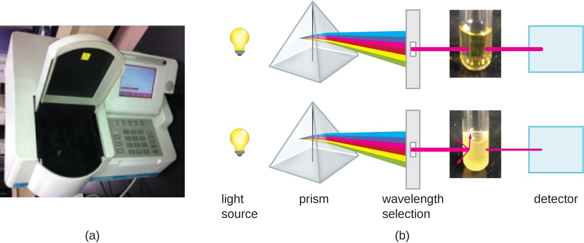a) A photograph of a spectrophotometer; a machine with a keypad and a place to put a sample. b) A diagram explaining how the spectrophotometer measures turbidity. A light source passes through a prism and a single wavelength is selected. If this beam of light passes through a clear broth, most of the light reaches the detector. If this beam of light passes through a cloudy sample, much of the light is reflected and refracted and only a little bit of light reaches the detector.