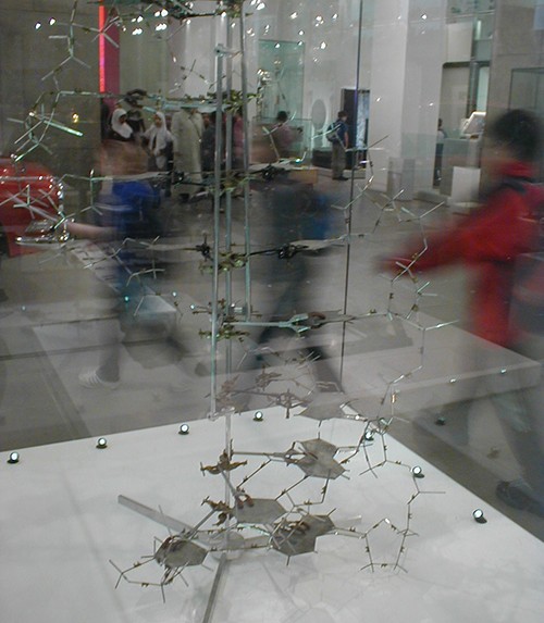A photograph of a wire model in a museum.