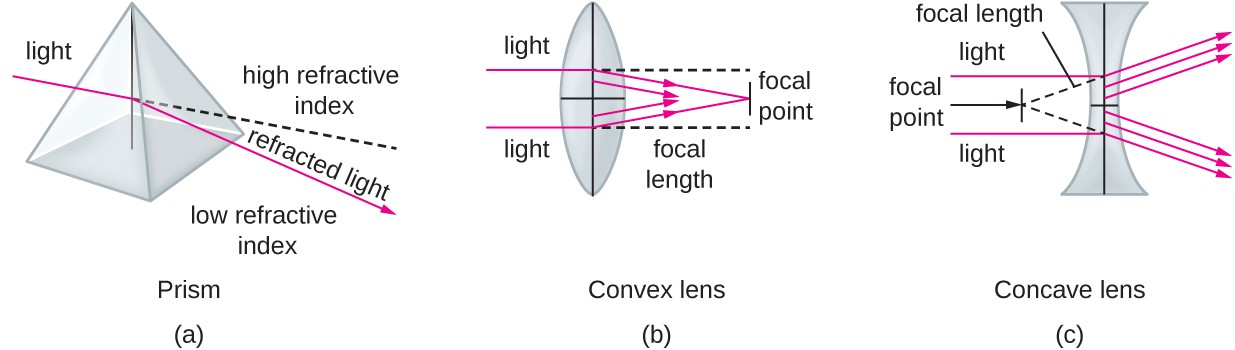 Diagram a (prism) shows a clear pyramid with light entering one surface. The light leaving the other surface is bent and is the refracted light. A dotted line indicates the path the original light beam would have taken had it not bent. The region above the dotted line is labeled high refractive index; the region below the line is labeled low refractive index. Diagram b (convex lens) shows a lens with a bulge in the center. Light enters one either side of the dome and is focused to a point past the lens and in line with the center of the dome. The point at which the light focuses is the focal point; the distance from the focal point to the center of the lens is the focal length. Diagram c (concave lens) shows a lens that curves inward on either side. Light entering this lens is bent outwards, away from the center of the lens’s curve. A dotted line shows the linear path backwards for each of the bent light beams. The point at which all the dotted lines meet (which is on the other side of the lens) is the focal point.