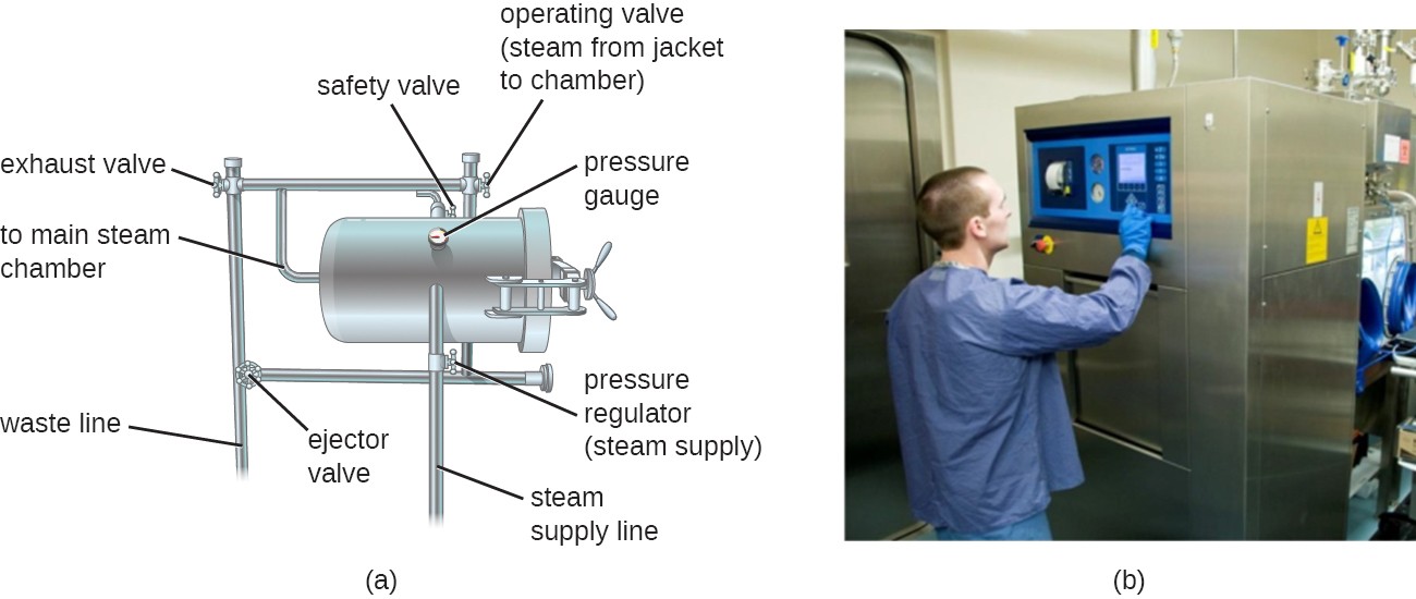 a) A drawing of an autoclave. There is a large metal cylinder with a pressure gauge. An operative valve allows steam from the jacket to the chamber; there is also a safety valve. The main chamber connects to an exhaust valve, a waste line, an ejector valve, a steam supply line and a pressure regulator. B) a photo of an autoclave; a large metal box as tall as the operator standing in front of it.