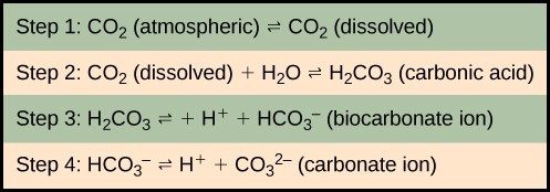  In step 1, atmospheric carbon dioxide dissolves in water. In step 2 dissolve carbon dioxide (CO2) reacts with water (H2O) to form carbonic acid (H2CO3). In step 3, carbonic acid dissociates into a proton (H plus) and a bicarbonate ion (HCO3 minus). In step 4 the bicarbonate ion dissociates into another proton and a carbonate ion (CO3 minus two).