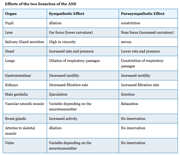 Physiology Of The Autonomic Nervous System Anatomy And Physiology I 