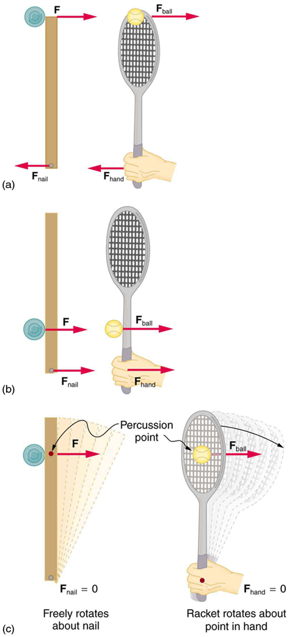 In figure a, a disk hitting a stick is compared to a tennis ball being hit by a racquet. When the ball strikes the racquet near the end with a force denoted by f ball as shown by the direction of the arrow, a backward force, f hand is exerted on the hand, In figure b, when the racquet is struck much farther down by a force F ball, a forward force, f hand is exerted on the hand as shown by the arrows. In figure (c), when the racquet is struck by the ball with a force f ball at the percussion point, no force is delivered to the hand. This implies that f hand is equal to zero.