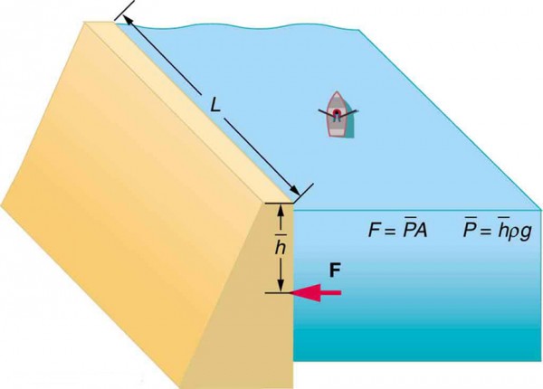 A two-dimensional view of a dam with dimensions L and h is shown. Force F at h is shown by a horizontal arrow. The force F exerted by water on the dam is F equals average pressure p bar into area A and pressure in turn is average height h bar into density rho into acceleration due to gravity g.