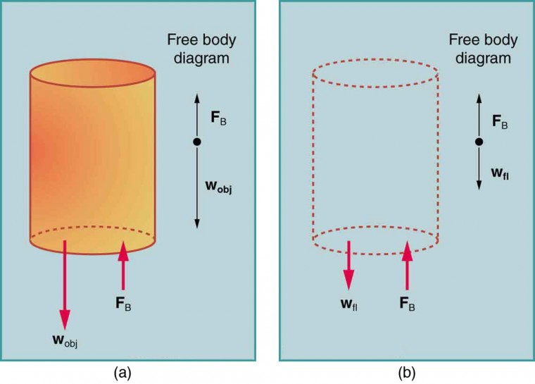 An object immersed in a fluid rises if its buoyant force is greater than its weight and sinks if its buoyant force is less than its weight. By Archimedes’ principle the buoyant force equals the weight of the fluid displaced.