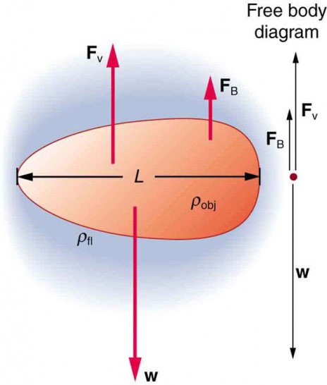 motion-of-an-object-in-a-viscous-fluid-physics-course-hero