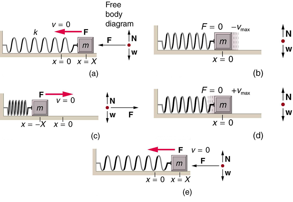 simple-harmonic-motion-a-special-periodic-motion-physics-course-hero