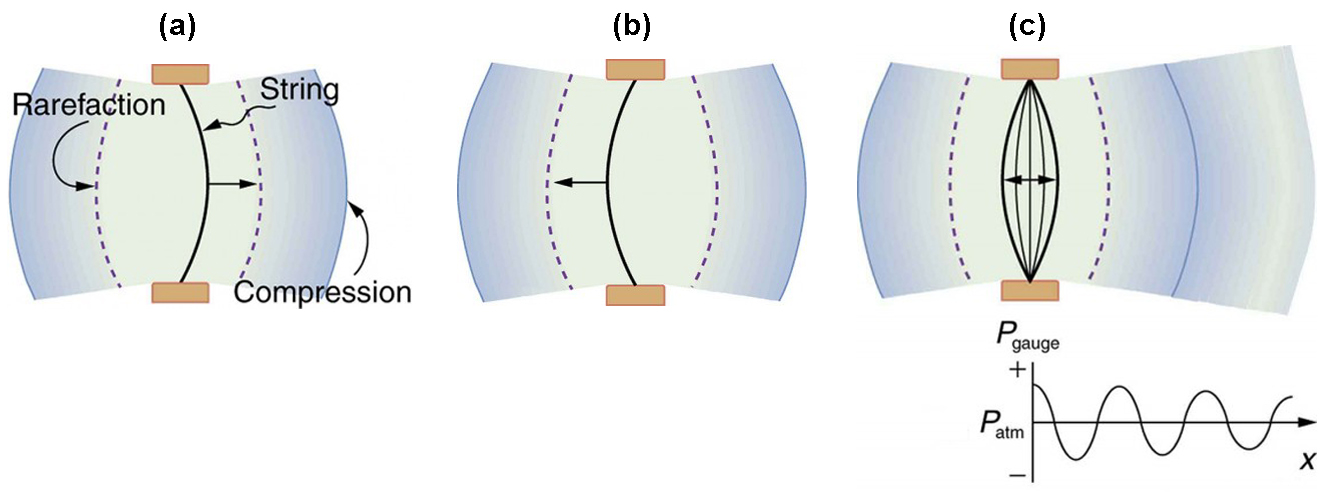 A three-part image. Part a is a diagram of a vibrating string held fixed at both ends. The string is shown to move toward the right. The compression and rarefaction of air is shown as bold and dotted line arcs around the string. Part b is a diagram of a vibrating string held fixed at both the ends. The string is shown to move toward the left. The compression and rarefaction of air is shown as bold and dotted arcs around the string. Part c is a the diagram shows a vibrating string held fixed at both the ends. The string is shown to vibrate to and fro toward left and right. The compression and rarefaction of air is shown as bold and dotted arcs around the string. It also shows a graph of pressure versus distance from the source. The pressure is along the y axis and the distance is along the x axis. The graph is a sine wave along the x axis.