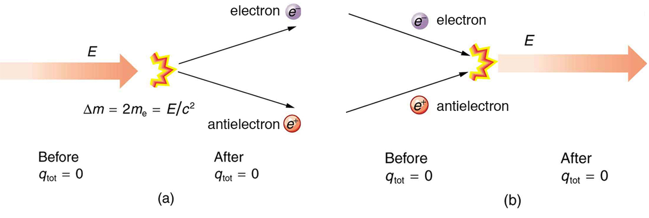 Here energy is shown by a vector. Initially electrostatic charge q tot is equal to zero. Now energy gets converted into matter and creates one electron and antielectron pair but final electrostatic charge is equal to zero so change in mass delta m is equal to two m e, which is equal to E divided by c square. (b) In this figure, Electron and antielectron are colliding with each other. The electrostatic charge q tot before collision is zero and after collision it will remain zero.