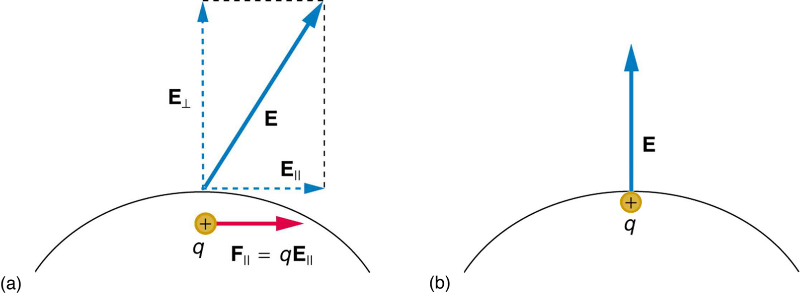 In part a, an electric field E exists at some angle with the horizontal applied on a conductor. One component of this field E parallel is along x axis represented by a vector arrow and other E perpendicular, is along y axis represented by a vector arrow. Charge inside the conductor moves along x axis so the force acting on it is F parallel, which is equal to q multiplied by E parallel. In part b, a charge is shown inside the conductor and electric field is represented by a vector arrow pointing upward starting from the surface of the conductor.