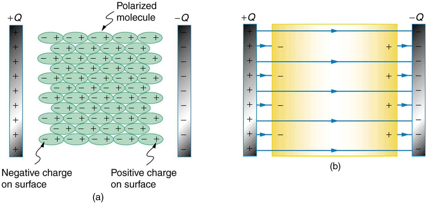 Capacitors and Dielectrics Physics