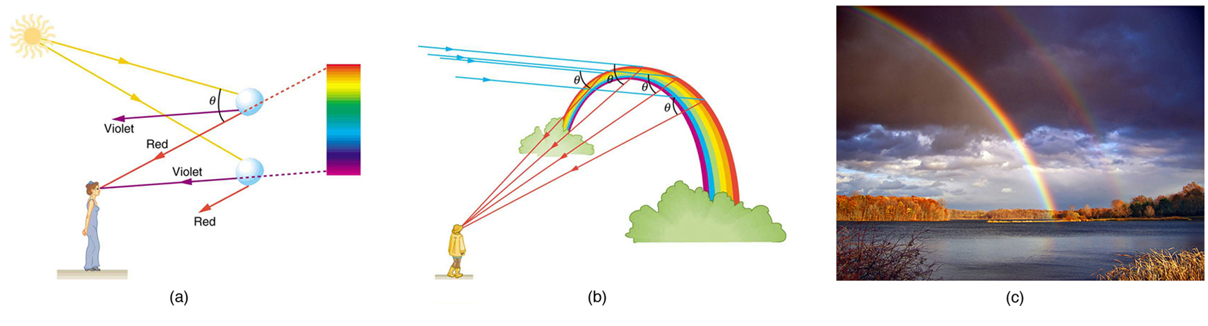In figure (a) sunlight is incident on two water droplets close to one another. The incident rays undergo refraction and total internal reflection. From the first droplet, violet color emerges and from the second, red emerges. A woman observes from a distance, the band of seven colors with red on top and violet at the bottom. Two rays each from red and violet reach the observer’s eyes. The angle of separation between the incident light and the emerging red light is theta. In figure (b), a man looks at the rainbow, which is in the shape of an arc. A parallel beam of blue colored rays fall on the rainbow at different positions and then reaches the observer, each ray making the same angle theta with the incident ray. The rays reaching the observer are red in color. Figure (c) shows a spectacular double rainbow in the sky with white clouds as a backdrop.