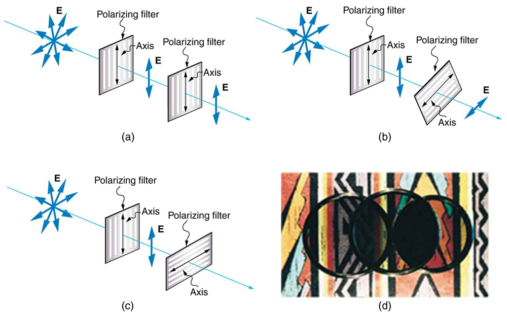 Polarization | Physics