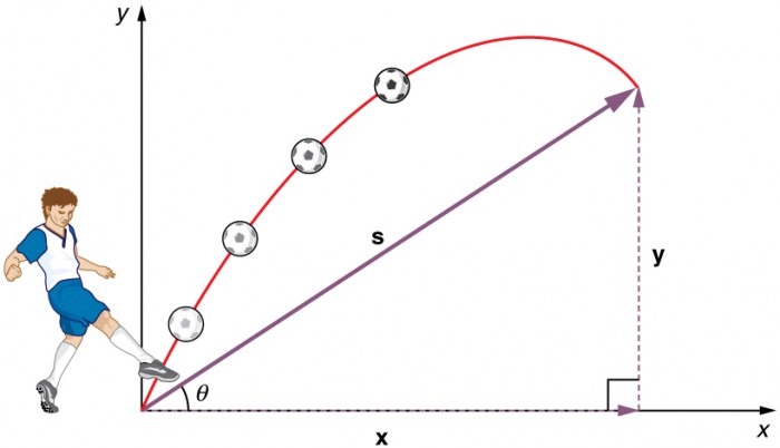 What Is Vertical Displacement In Projectile Motion