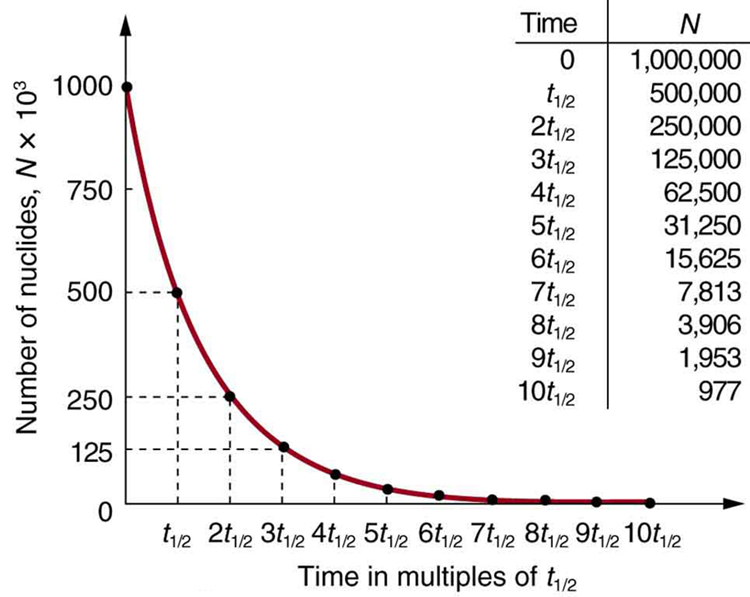 Half-Life and Activity | Physics