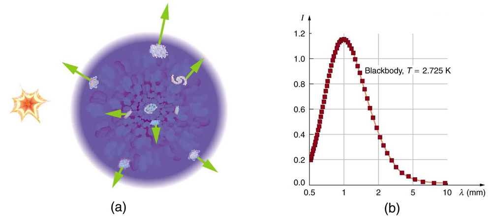 Figure a shows an artist’s rendition of the Big Bang explosion. Here, the explosion is depicted as a flash of light then a nonuniform purple-colored sphere containing galaxies. With each galaxy is associated an arrow pointing radially outward. The length of the arrows varies from one galaxy to the next. Figure b shows a graph of intensity versus wavelength. The intensity is on an arbitrary scale and the wavelength ranges from zero point five to 10 millimeters. The intensity begins at zero point two then rises sharply to one point two at a wavelength of one millimeter. It then descends to near zero by ten millimeters.