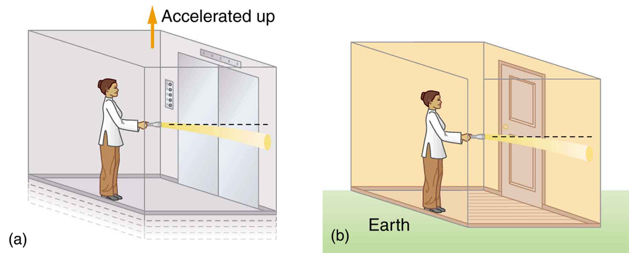 Figure a shows a person holding a flashlight and standing in an elevator that is accelerating upward. The flashlight is held horizontally, but the light beam from the flashlight hits the facing wall slightly below the horizontal path. Figure b shows the same thing but the elevator is at rest on the Earth.