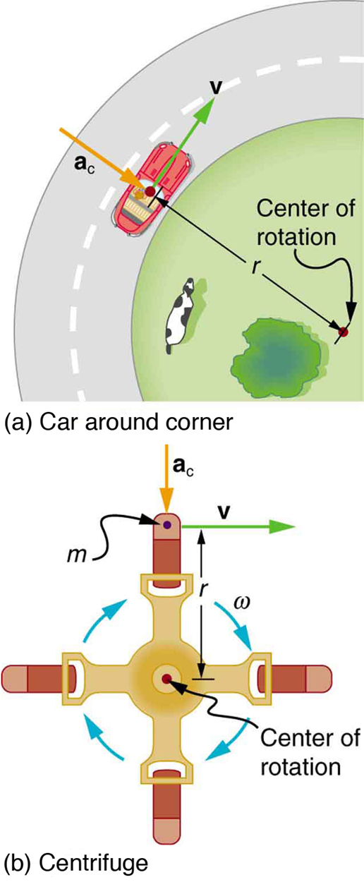 In figure a, a car shown from top is running on a circular road around a circular path. The center of the park is termed as the center of this circle and the distance from this point to the car is taken as radius r. The linear velocity is shown in perpendicular direction toward the front of the car, shown as v the centripetal acceleration is shown with an arrow pointed towards the center of rotation. In figure b, a centrifuge is shown an object of mass m is rotating in it at a constant speed. The object is at the distance equal to the radius, r, of the centrifuge. The centripetal acceleration is shown towards the center of rotation, and the velocity, v is shown perpendicular to the object in the clockwise direction.