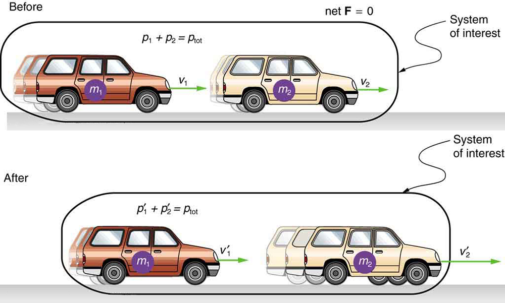 Conservation of Momentum Physics