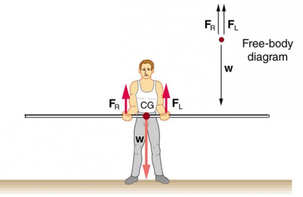 A pole vaulter is standing on the ground holding a pole with his two hands. The center of gravity of the pole is between the hands of the pole vaulter and is near the right hand of the man. The weight W is shown as an arrow downward toward center of gravity. The reactions F sub R and F sub L of the hands of the man are shown with vectors in upward direction. A free body diagram of the situation is shown on the top right side of the figure.