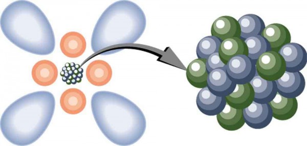 A model of an atom is shown. Atom is shown as a clump of small spherical balls at the center, representing the nucleus, surrounded by spherical and dumbbell-shaped electron clouds. A magnified view of the nucleus is shown as a bunch of small spherical balls.