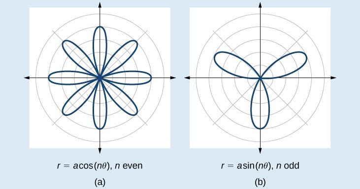 Graph of two rose curves side by side. (A) is r=acos(ntheta), where n is even. Eight petals extending from origin, equally spaced. (B) is r=asin(ntheta) where n is odd. Three petals extending from the origin, equally spaced.