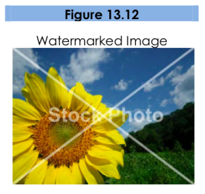 Figure 13.12, a watermarked image. Photo shows a sunflower. A white X and the word 