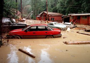 Flooded cars and houses