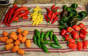 Piles of different hot peppers