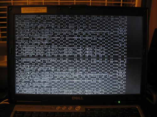 Photo of a Dell computer booting up.