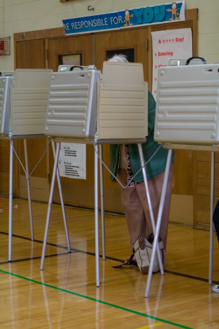 A woman is shown voting at a voting booth.