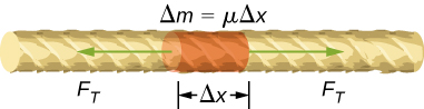 Figure shows a section of a string with one portion highlighted. The length of the highlighted portion is labeled delta x. Two arrows from this portion point in opposite directions along the length of the string. These are labeled F subscript T. The highlighted portion is labeled delta m equal to mu delta x.